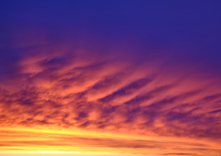 Erik Brammer - Springs and Seasonsl